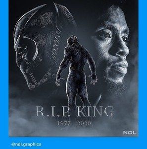 Meet your Posher, Curtis